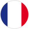 france flag icon